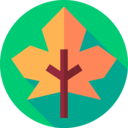 nature,plant,botanical,leaf,garden,autumn,fall,dry leaf,autumn tree leafs,foliage